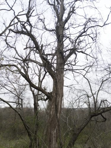 Jacobs Creek Park, Back Entrance