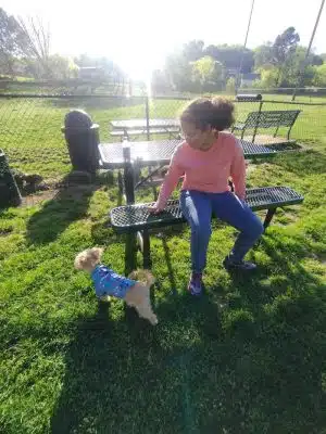 Mount Pleasant Dog Park