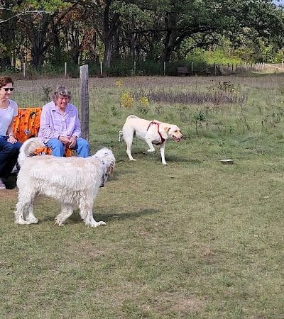 Mukwonago Dog Exercise Park - Mukwonago, WI
