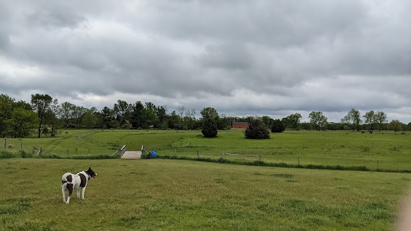 Mukwonago Dog Exercise Park - Mukwonago, WI