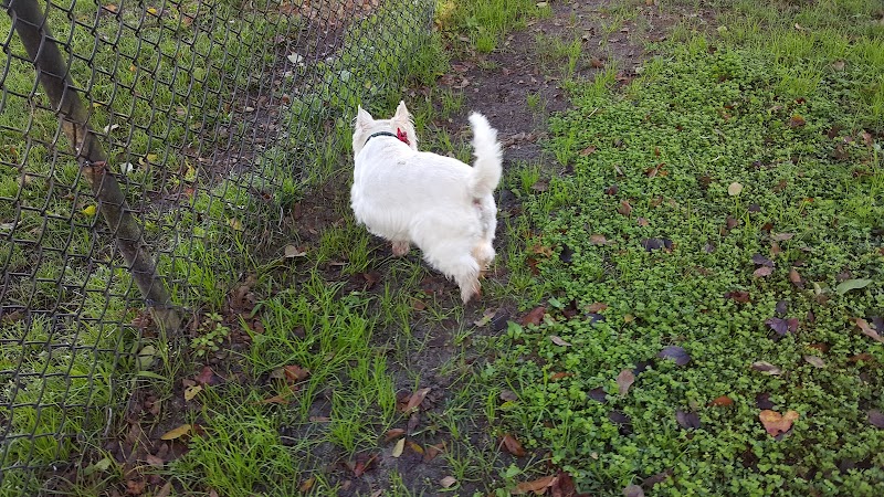 Diogi Dog Park - Mulberry, FL