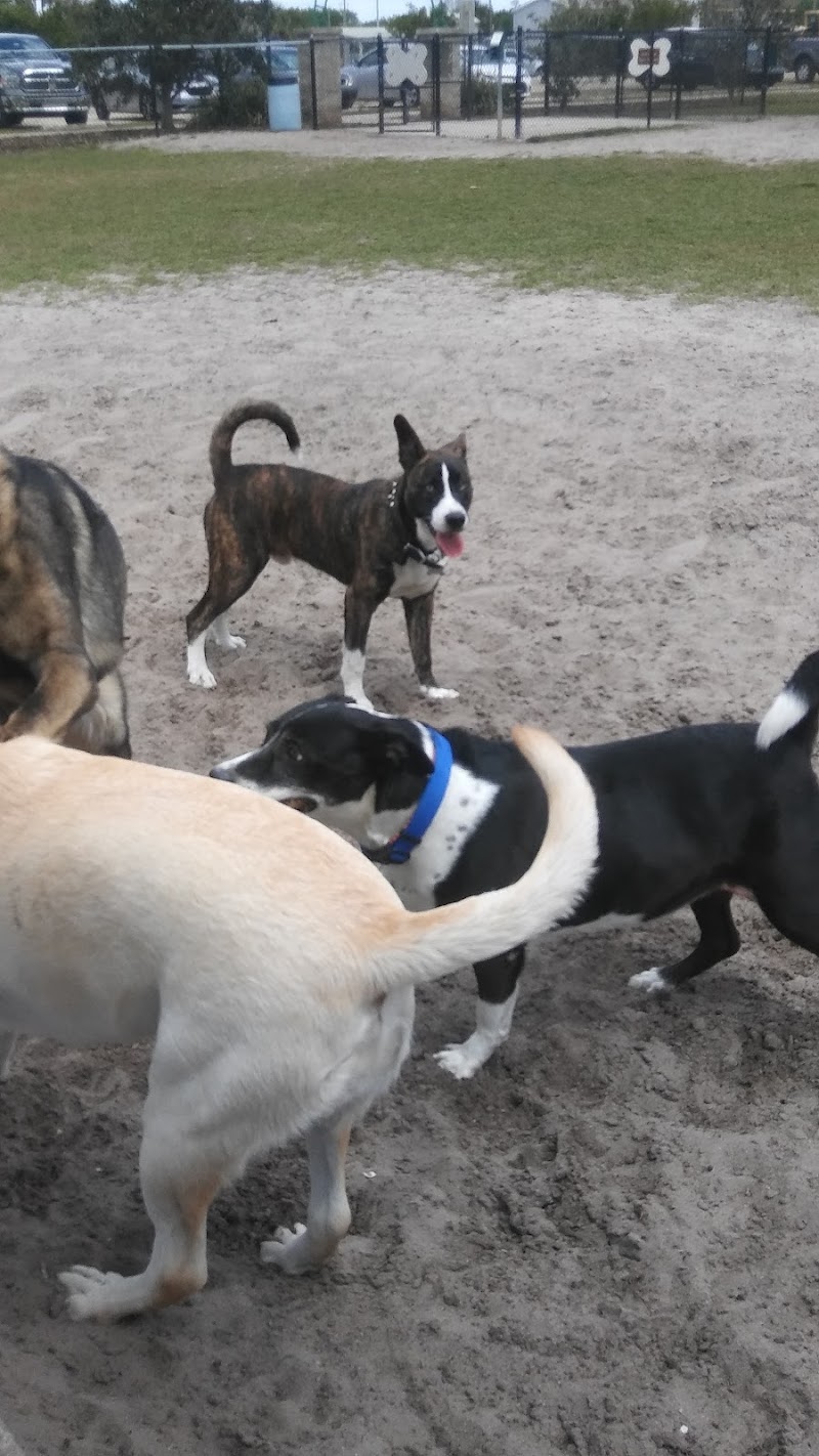 Diogi Dog Park - Mulberry, FL