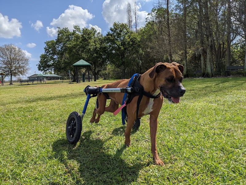 Diogi Dog Park - Mulberry, FL