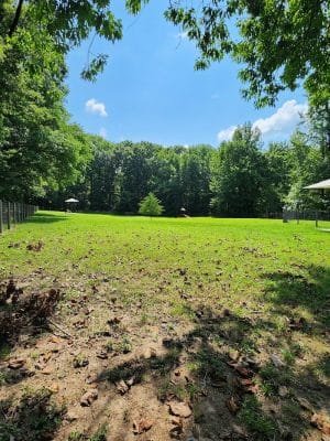 Emily’s Bark Park