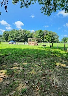 Emily’s Bark Park