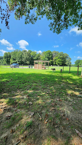 Emily’s Bark Park