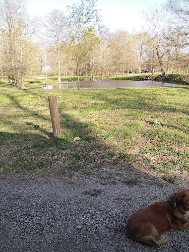 Riverside Dog Park - Murphysboro, IL