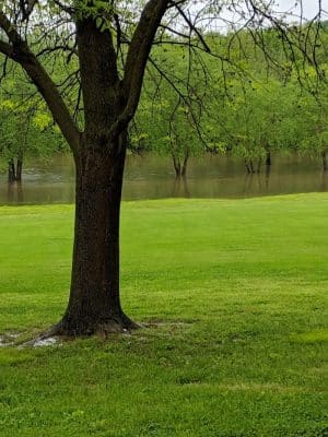Riverside Dog Park - Murphysboro, IL