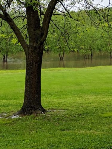 Riverside Dog Park - Murphysboro, IL