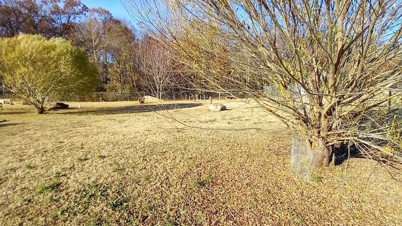 Murray-Calloway County Dog Park - Murray, KY
