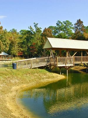 A Dog's Way Inn, Dog Boarding, Dog Day Care, Grooming, Training, Dog Park, Dock Diving