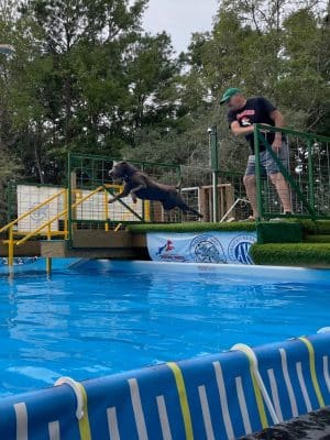 A Dog's Way Inn, Dog Boarding, Dog Day Care, Grooming, Training, Dog Park, Dock Diving
