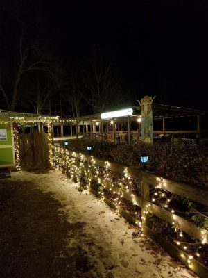 Barking Dawgs Tavern