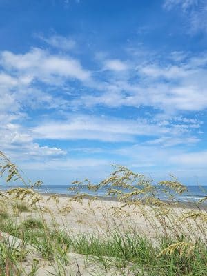 Ceremony - Huntington Beach State Park
