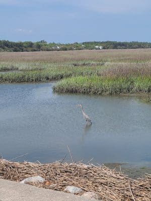 Ceremony - Huntington Beach State Park
