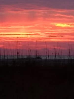 Ceremony - Huntington Beach State Park