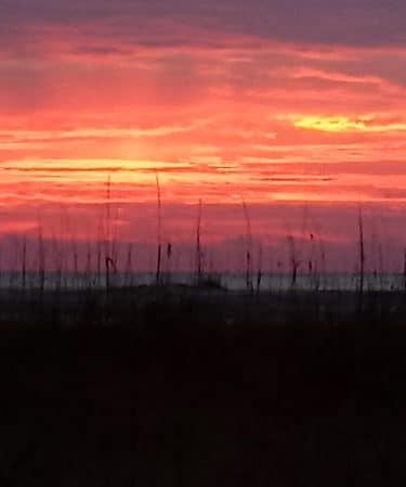 Ceremony - Huntington Beach State Park