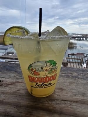 Dead Dog Saloon
