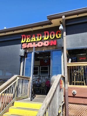 Dead Dog Saloon
