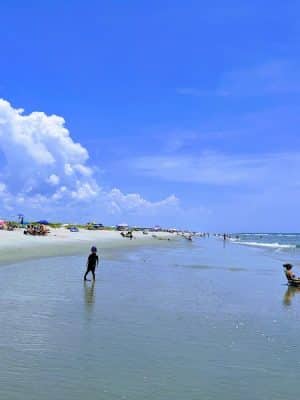 Huntington Beach State Park