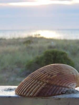 Love's a Beach