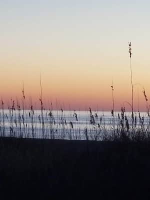Love's a Beach