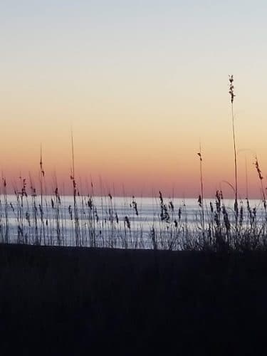 Love's a Beach