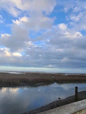 Morse Park Landing