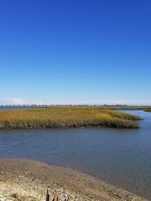 Morse Park Landing