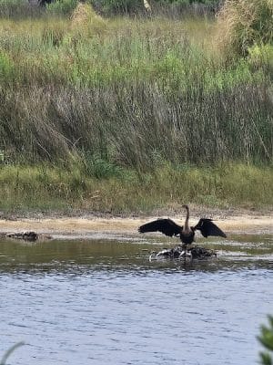 Sandpiper Pond Trail
