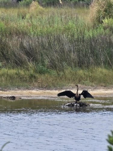 Sandpiper Pond Trail