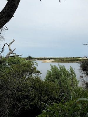 Sandpiper Pond Trail