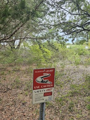 Sandpiper Pond Trail