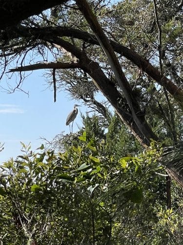 Sandpiper Pond Trail