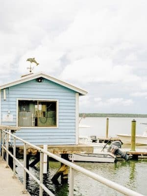 The Lively Murrells Inlet