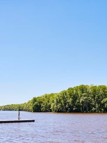 The Lively Murrells Inlet