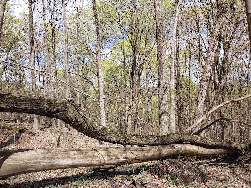 Duff Park - Murrysville, PA