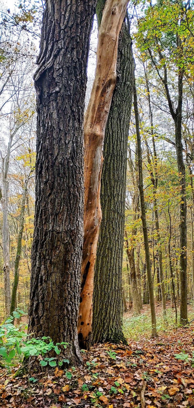 Duff Park - Murrysville, PA