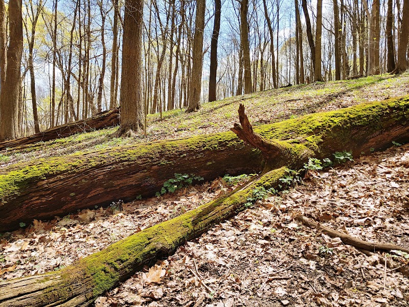 Duff Park - Murrysville, PA
