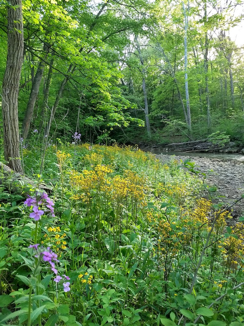 Duff Park - Murrysville, PA