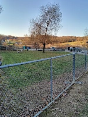 Paws on the Run Dog Park