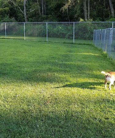 Paws on the Run Dog Park