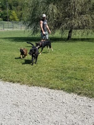 Paws on the Run Dog Park