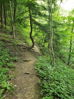 Roberts Trail Access - Westmoreland Heritage Trail