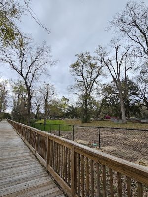New Town Park