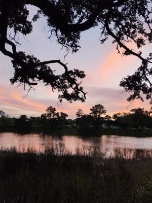 New Town Park