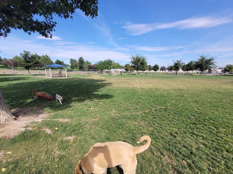 Amity Dog Park