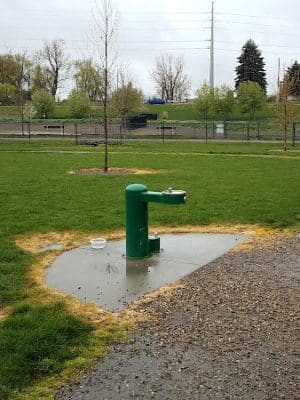 Amity Dog Park