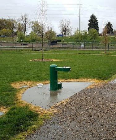 Amity Dog Park