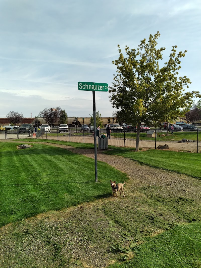 Amity Dog Park
